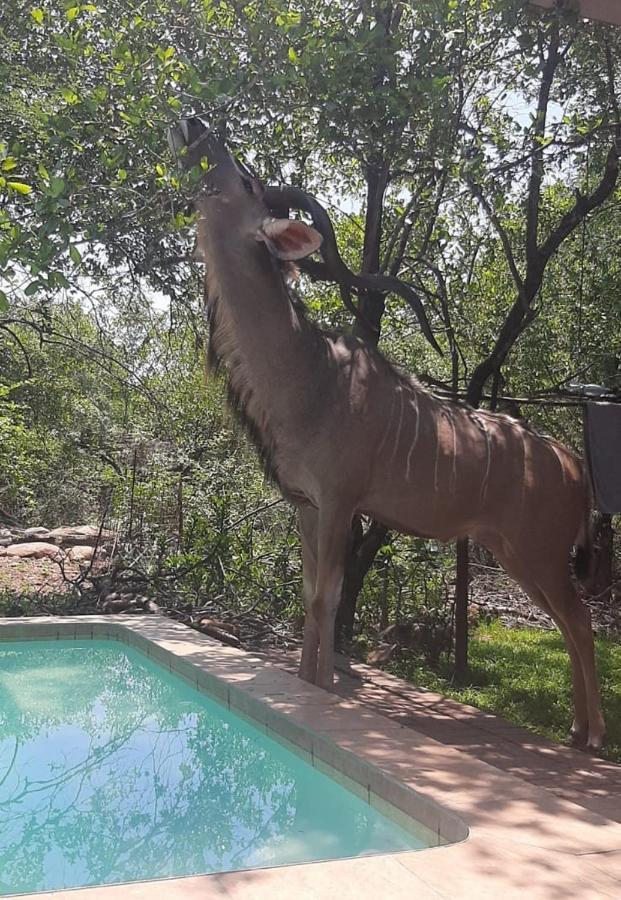 Nature House Marloth Park Exterior foto